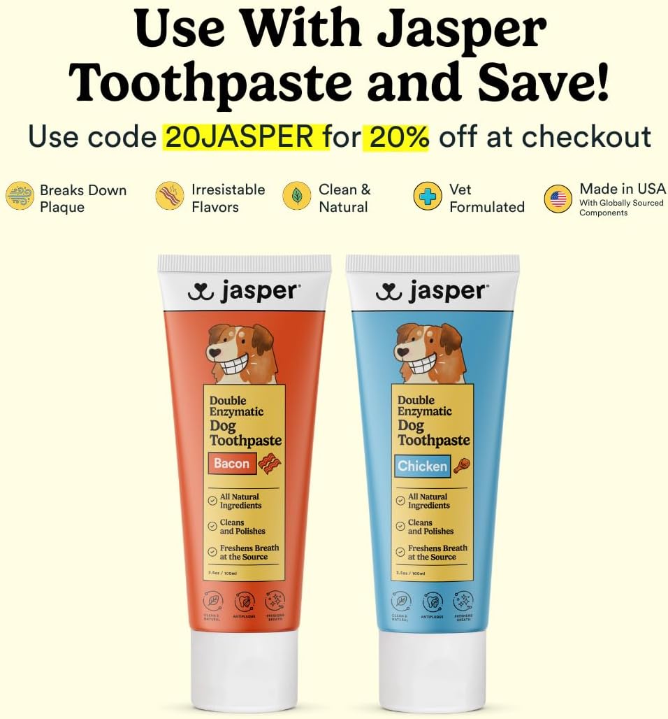 Jasper pet toothbrush with non-slip handle and brush head