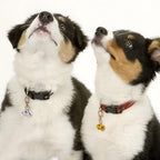 Delorigin decorative blossom pendants for pet accessories