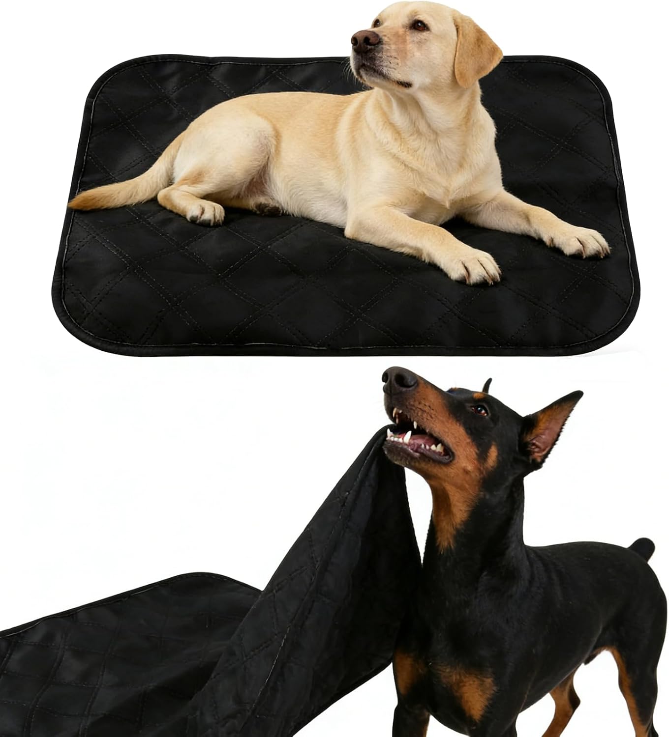 Racgrul chew proof dog crate pad front view