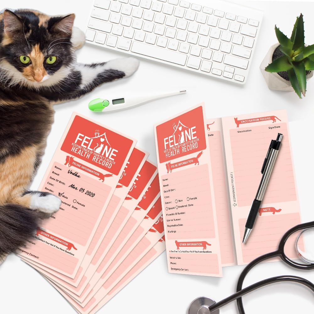 Anzon Mories premium kitten nursing supply pack containing 24 individual health booklets.