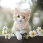 Babole Pet summer floral cat collars laid flat to showcase both distinct girly styles included in the bundle.