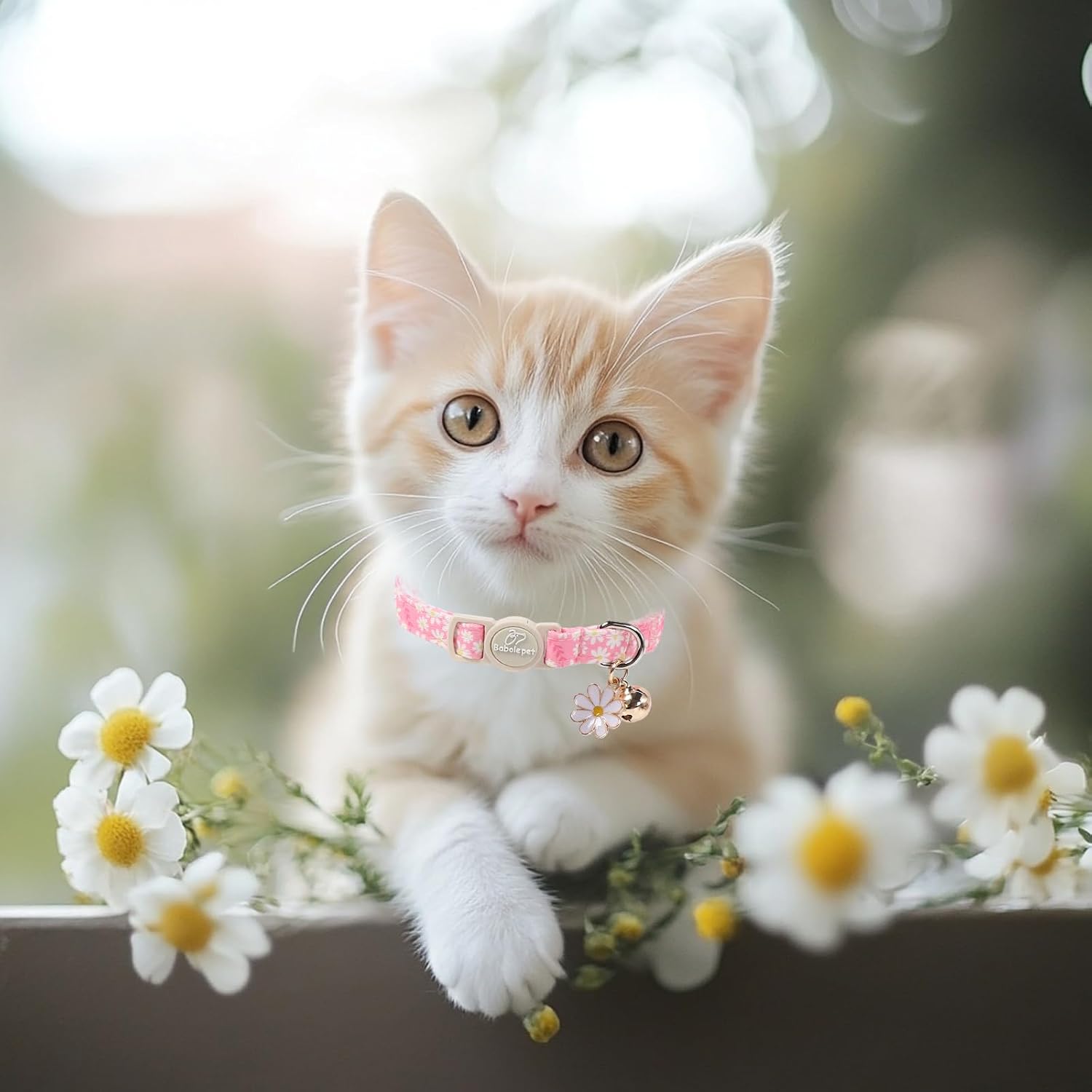 Babole Pet summer floral cat collars laid flat to showcase both distinct girly styles included in the bundle.