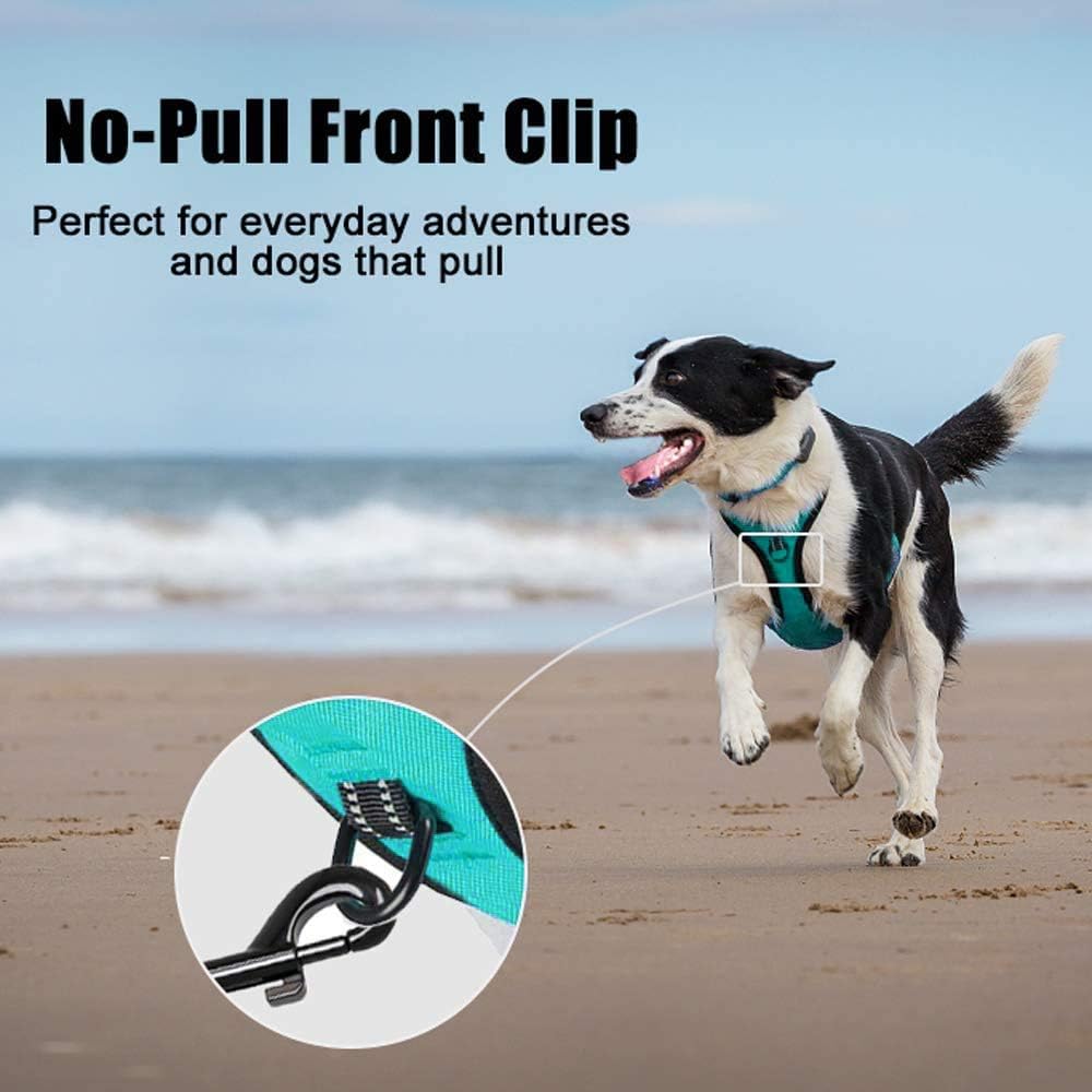 Poypet dog vest harness showing reflective stitching