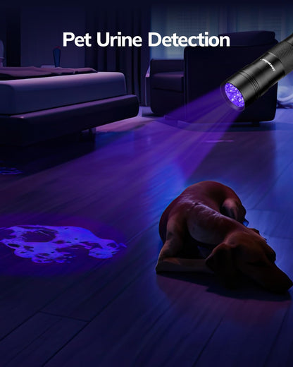 Morpilot 12 LED ultraviolet torch illuminating pet urine stains on a carpet