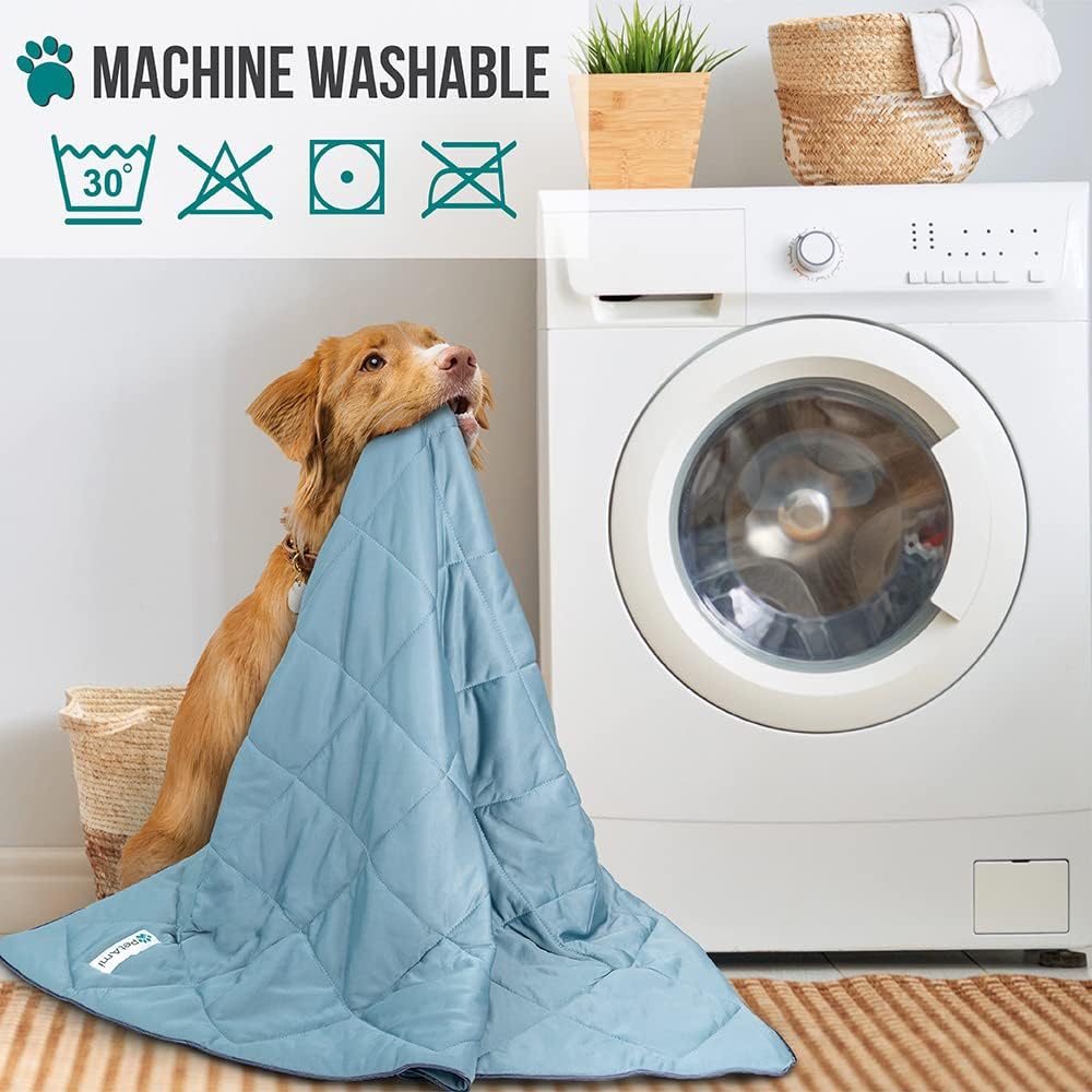 Advanced temperature regulating pet blanket protecting a couch from dog shedding.