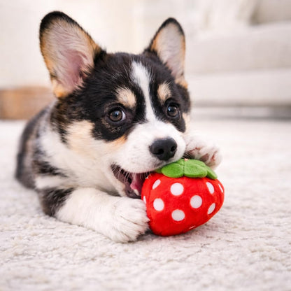 Small puppy playing with soft squeaky food toy