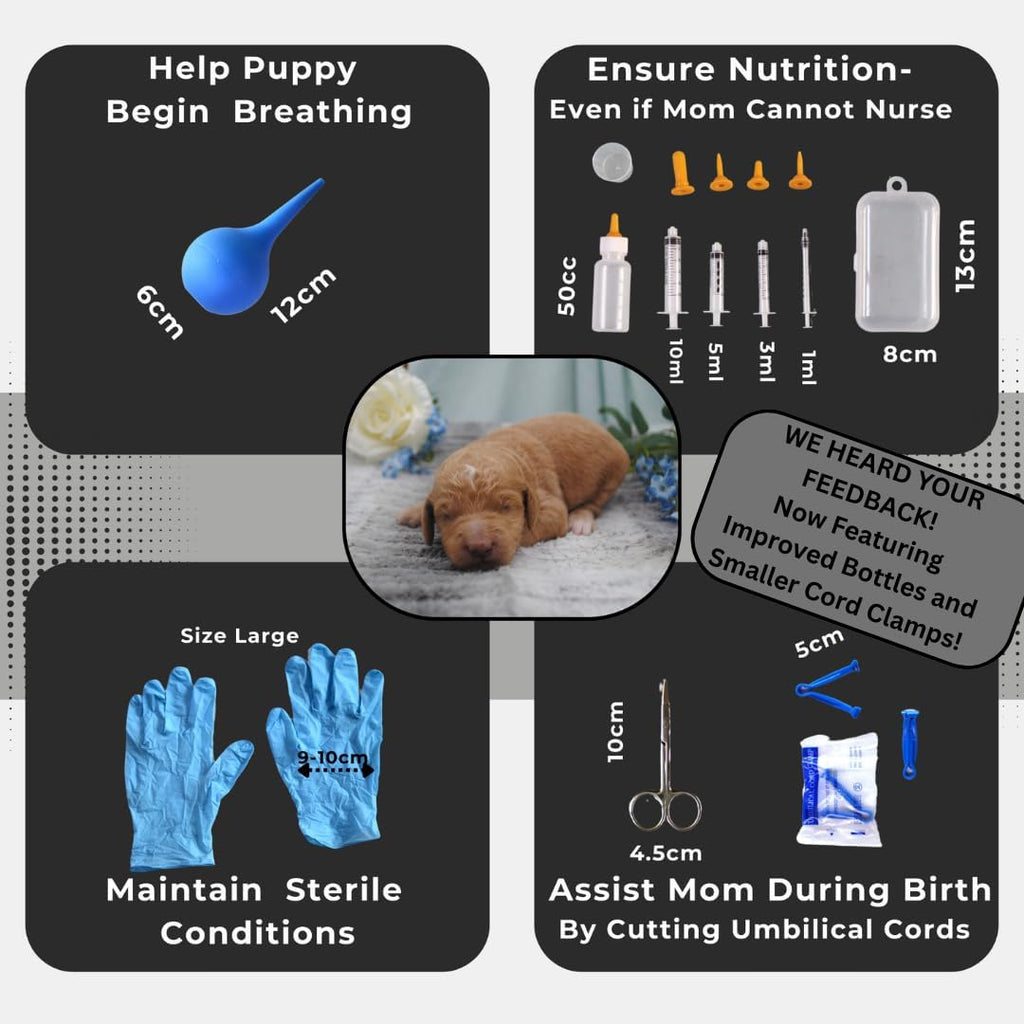 Sheffield SS Shop professional canine birthing charts and health tracking infographics.