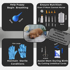 Sheffield SS Shop professional canine birthing charts and health tracking infographics.