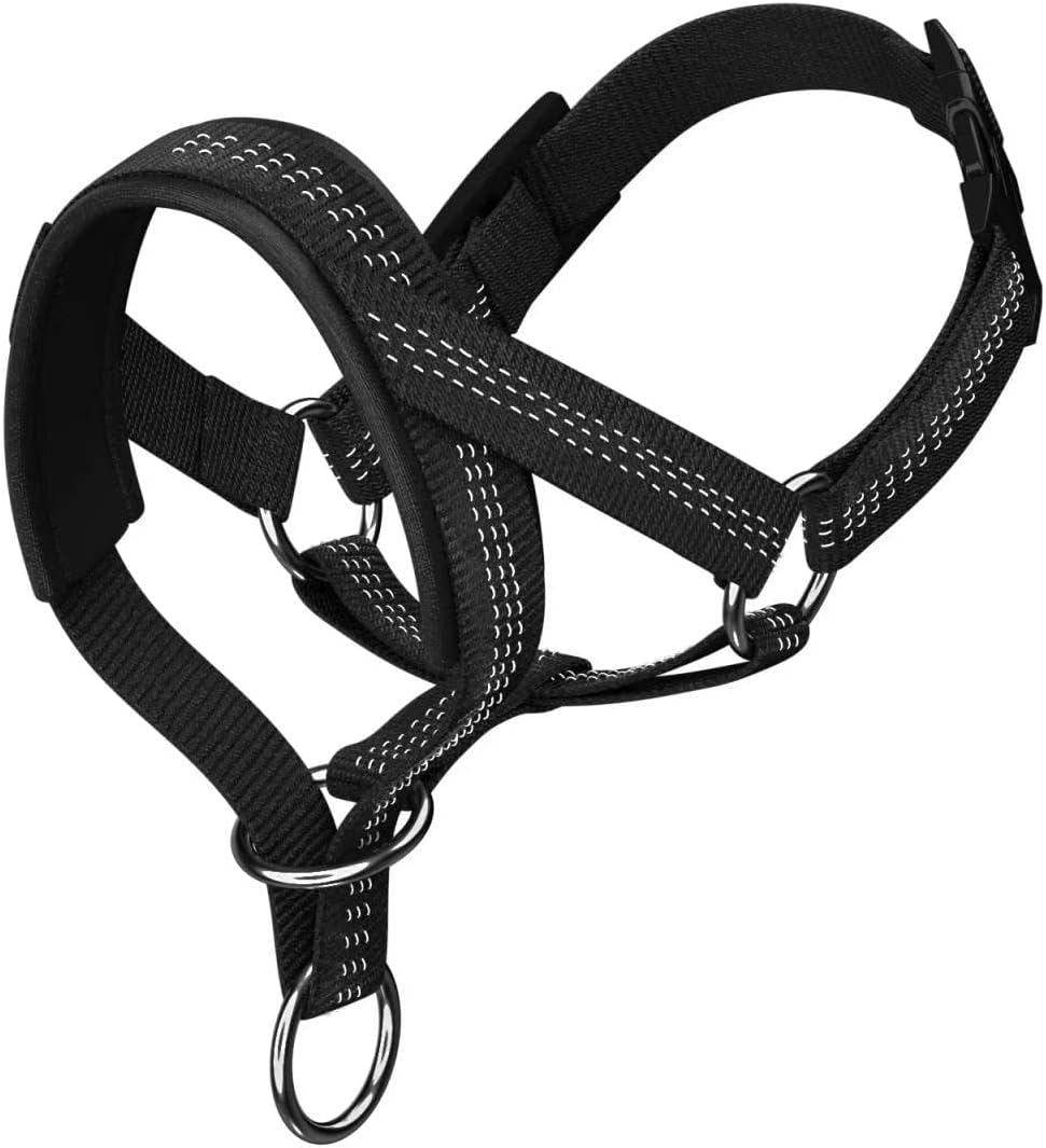 Wintchuk black dog head collar front view with striped silk thread design.