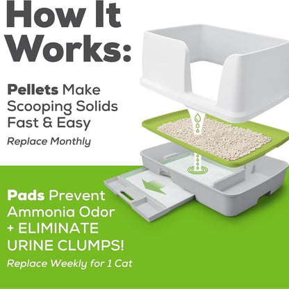 Authentic Purina Tidy Cats system refills for reliable ammonia odor control