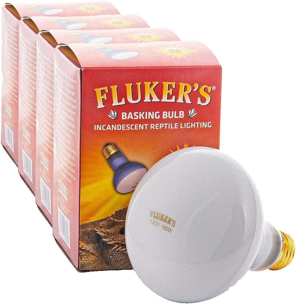 Fluker's incandescent terrarium bulb installed in lamp fixture