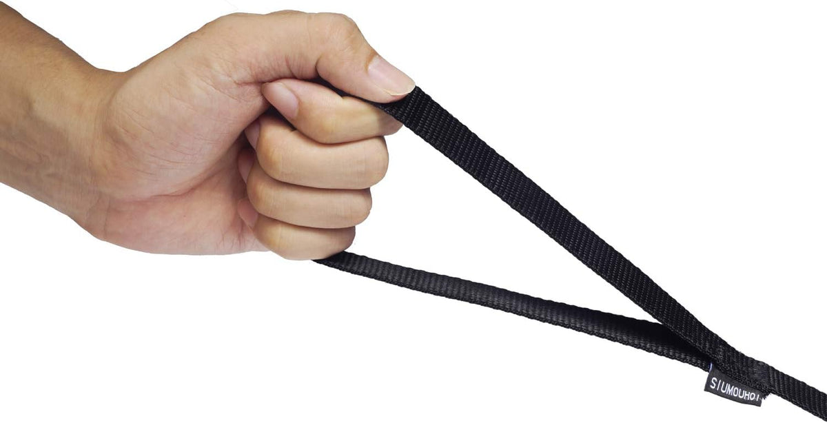 Durable one inch wide nylon dog leash with heavy duty clip