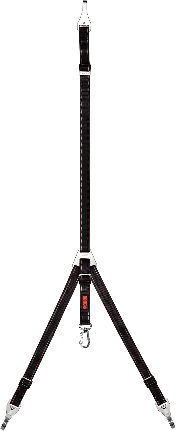 KONG dog travel tether installed on vehicle seat anchors