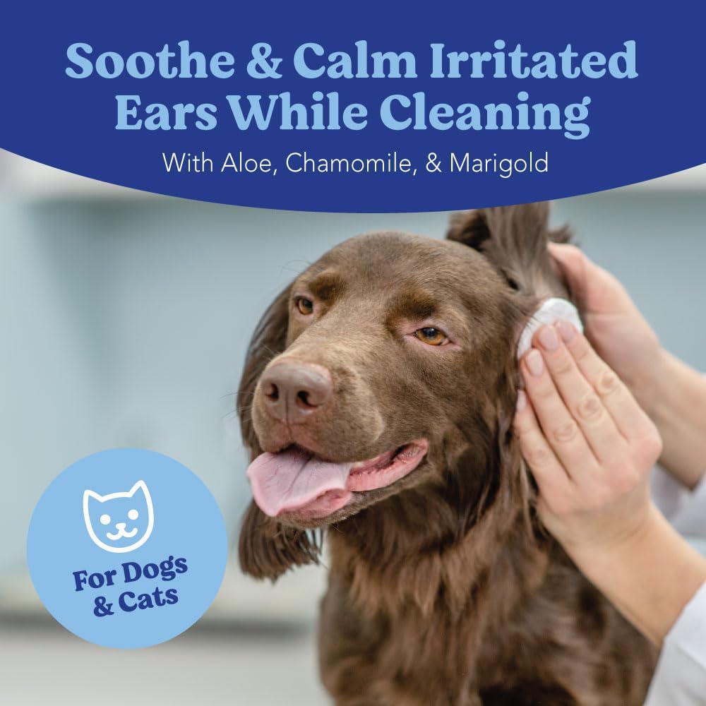 Dog receiving ear care with Angels' Eyes wipes