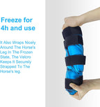 MR.ICE equine cold therapy pack showing adjustable hook straps