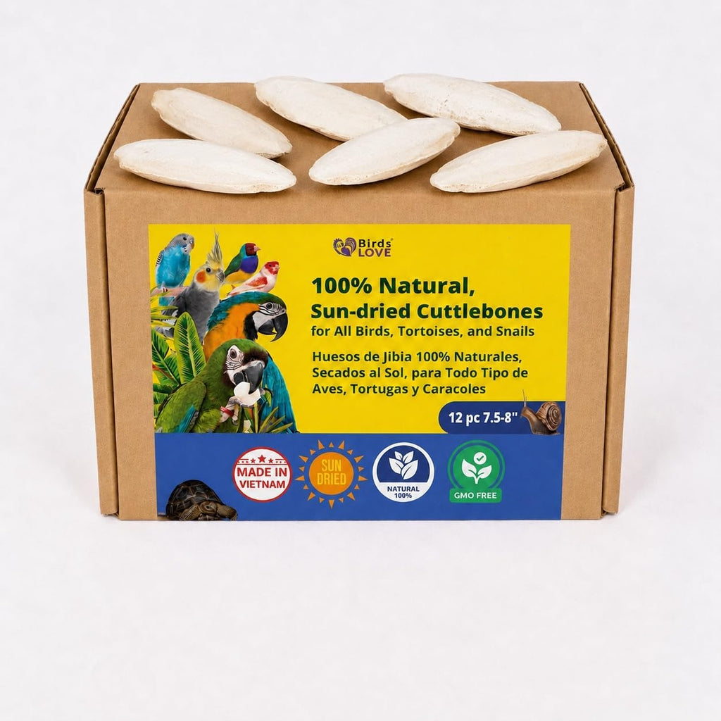 Birds LOVE 3.5-4" Cuttlebone for Birds - 100% Natural Sun-Dried Calcium & Beak Conditioning Supplement for Parakeets, Budgies, Cockatiels, Finches & Canaries - 2 Pack with Holder - Made in Vietnam - Image 10