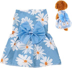 A Yorkie puppy modeling the imported OTKARXUS pet princess outfit for everyday holiday fashion