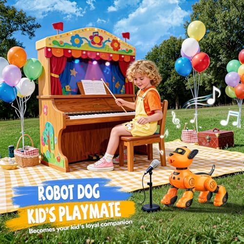 Top view of remote control for robot dog toy