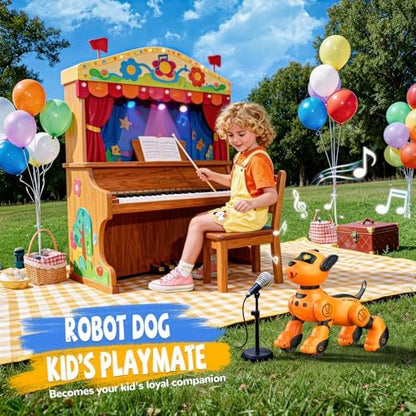 Top view of remote control for robot dog toy