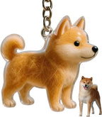 Dog Hair Collector Keychain Charm Memorial Storage Box, Dog Shape Pet Hair Memorial Bottle, DIY Pet Furs Collection Capsules, Pet Hair Ashes Keepsake (Poodle) - Image 13