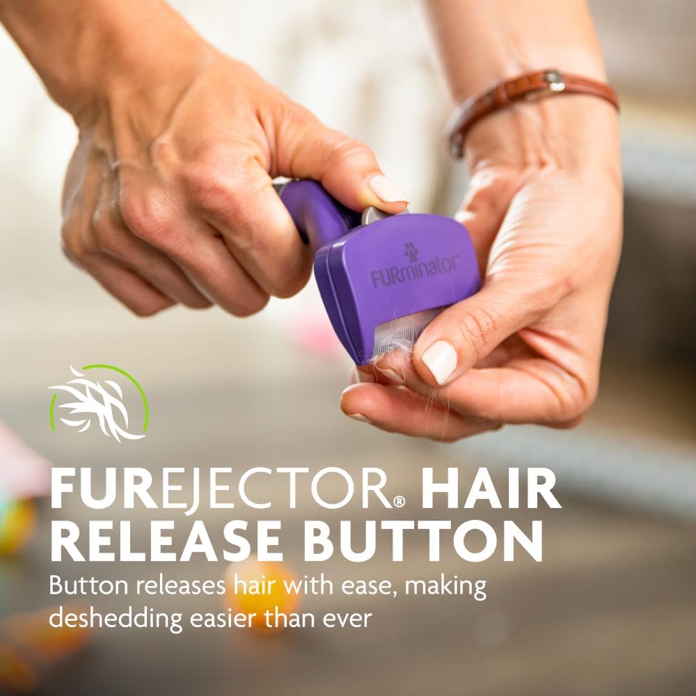 FURminator tool held in hand for pet grooming demonstration