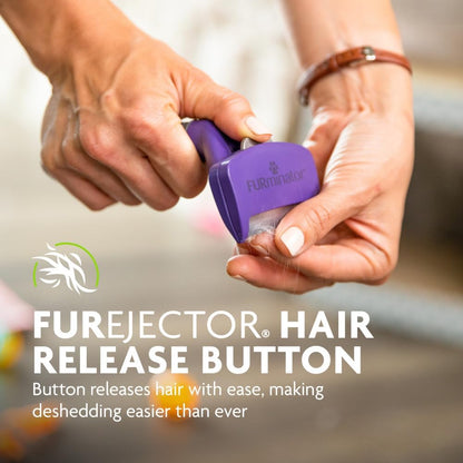 FURminator tool held in hand for pet grooming demonstration