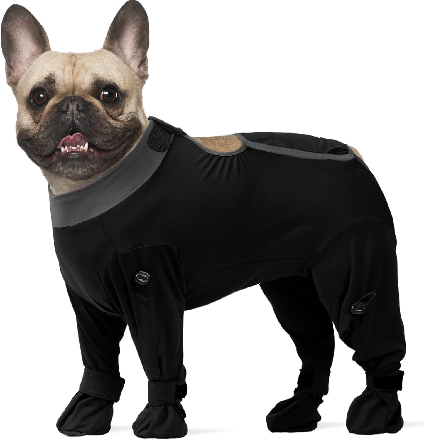 Rozkitch Dog Recovery Suit front view on a medium black dog