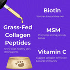 Back 40 Dogs liquid collagen nutritional facts and allergy relief benefits breakdown