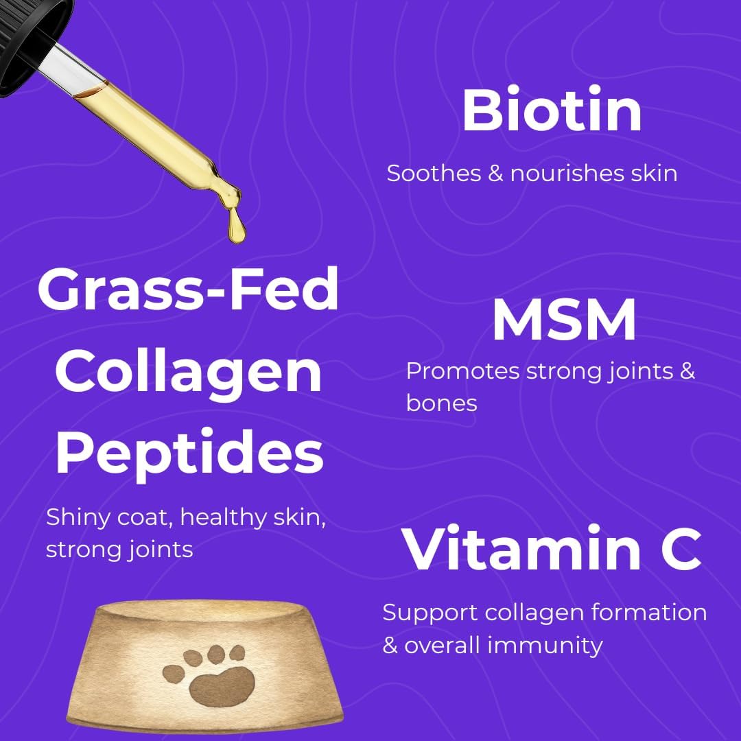 Back 40 Dogs liquid collagen nutritional facts and allergy relief benefits breakdown