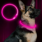 Led Dog Collar, BSEEN USB Rechargeable Flash Dog Necklace Light, Pet Safety Collar Makes Your Beloved Dogs Be Seen at Night for Small Medium Large Dogs(Green) - Image 9