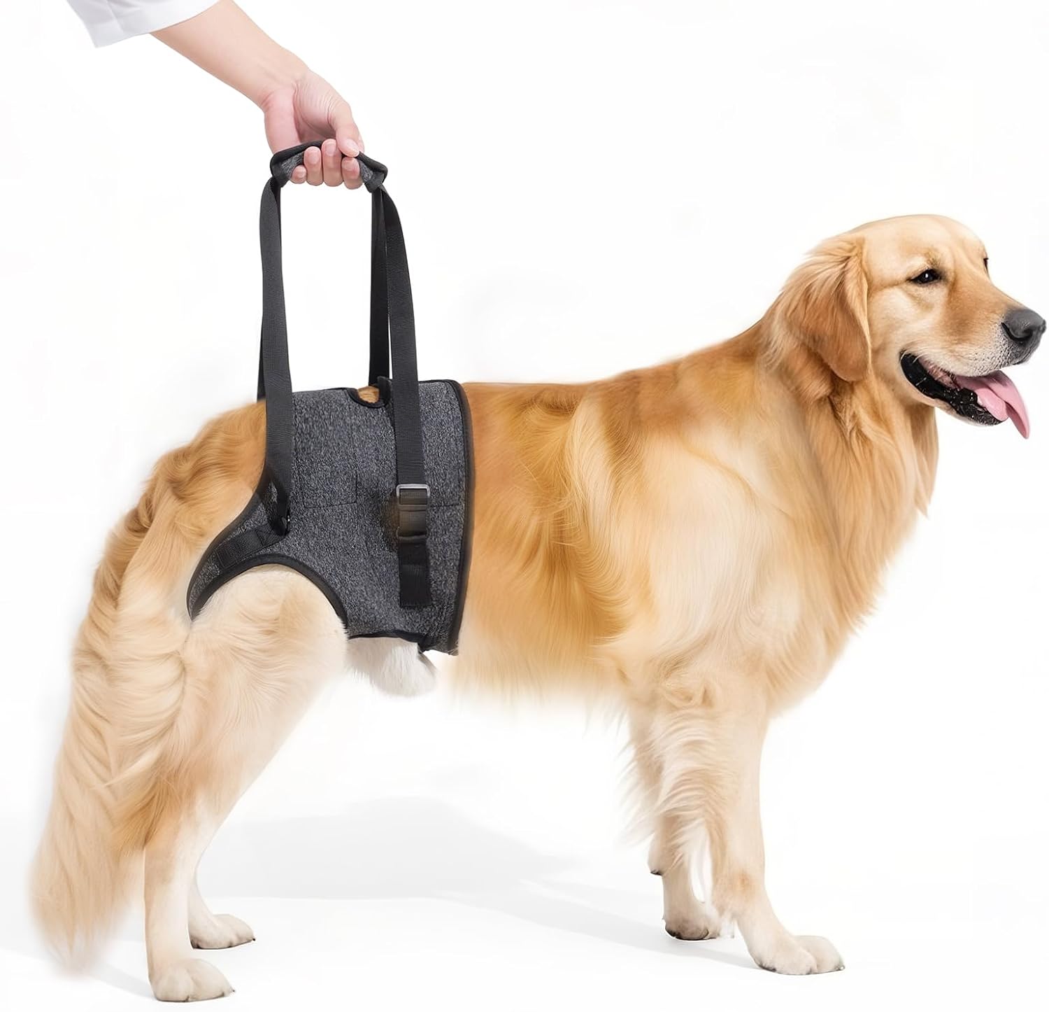 Lqyom dog sling for large dogs rear view