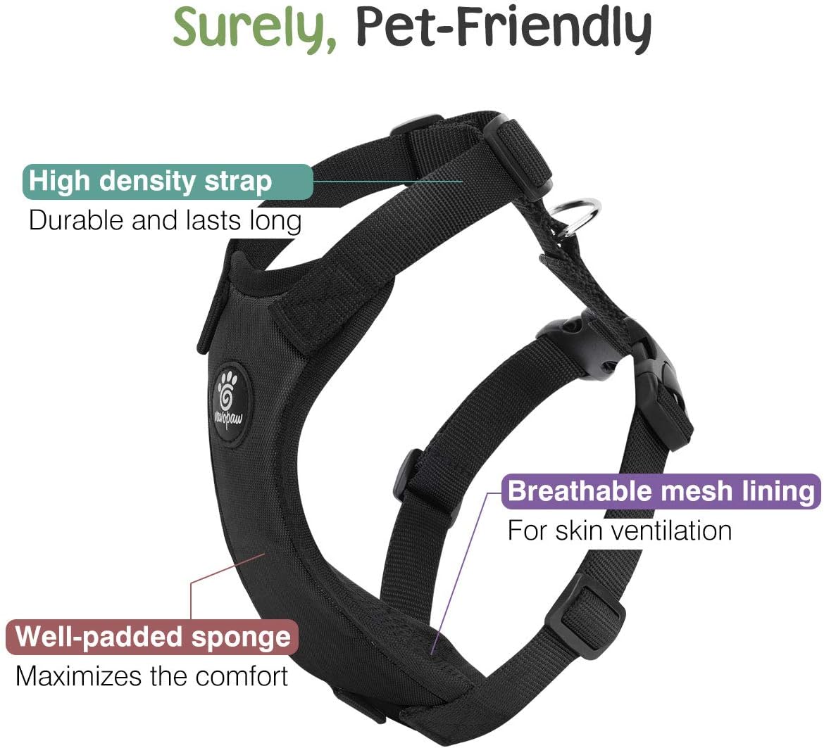 VavoPaw dog vehicle harness with seat belt attachment