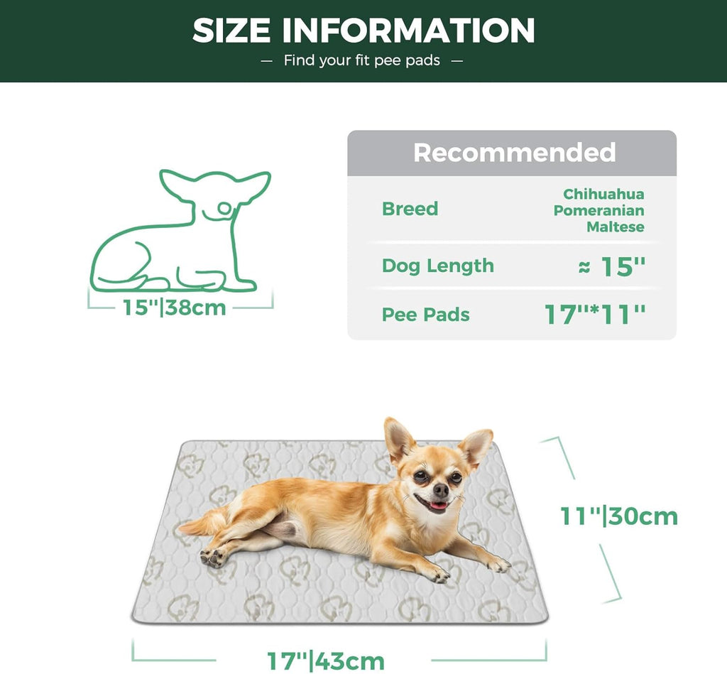 Close up of FXW absorbent puppy training pad texture
