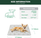 Close up of FXW absorbent puppy training pad texture