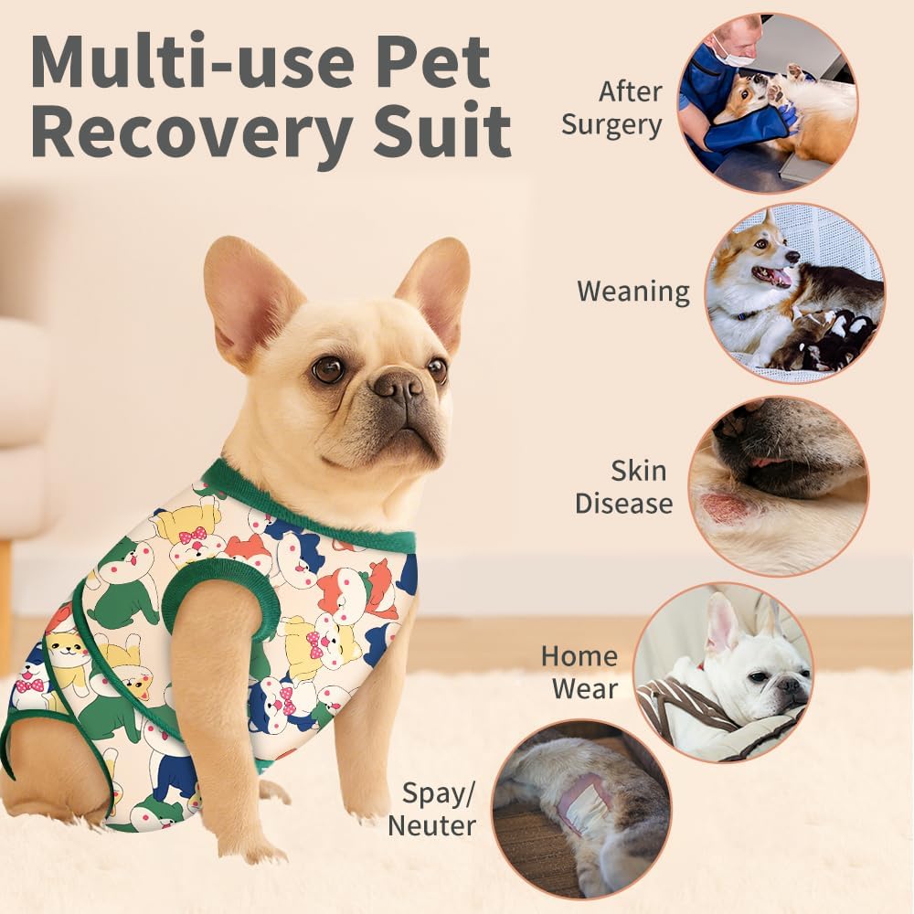 YibooAura pet medical bodysuit with matching soft drool bandana set