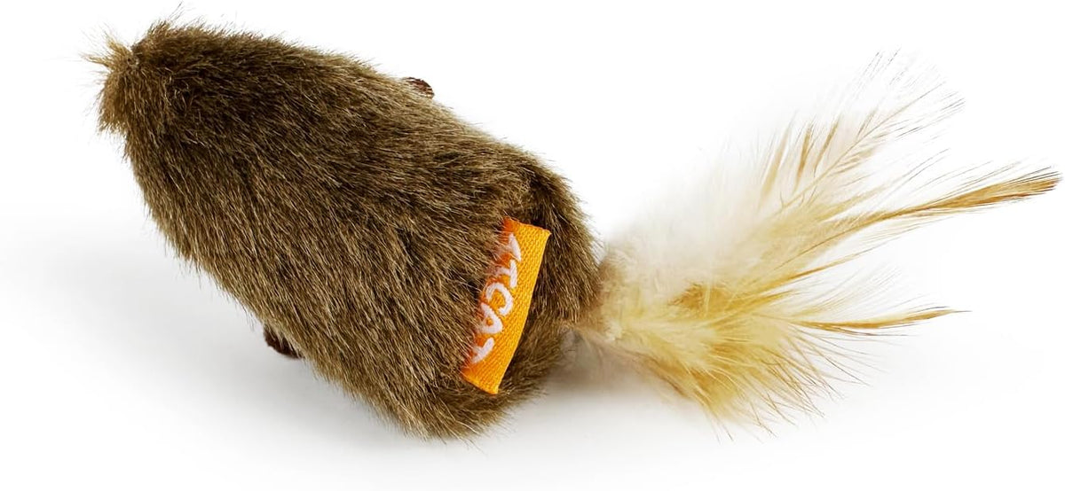 USA imported premium interactive cat toy twin pack packaging detail