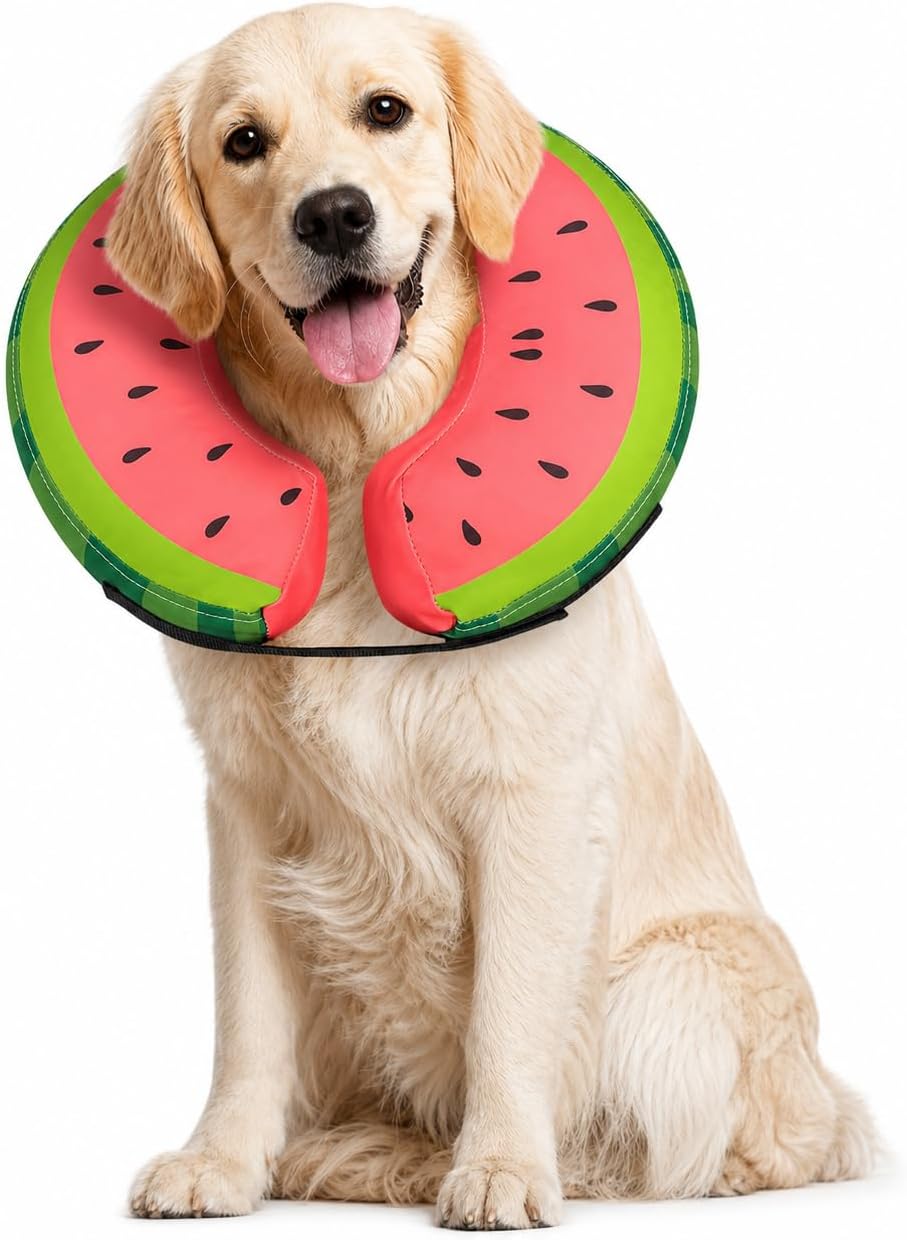 MIDOG Soft Inflatable Dog Cone, Donut E-Collar Alternative for After Surgery, Prevents Licking, Allowing Normal Eating & Vision, Comfortable Recovery Collar for Small Medium Large Dogs & Cats, Red-M - Image 15