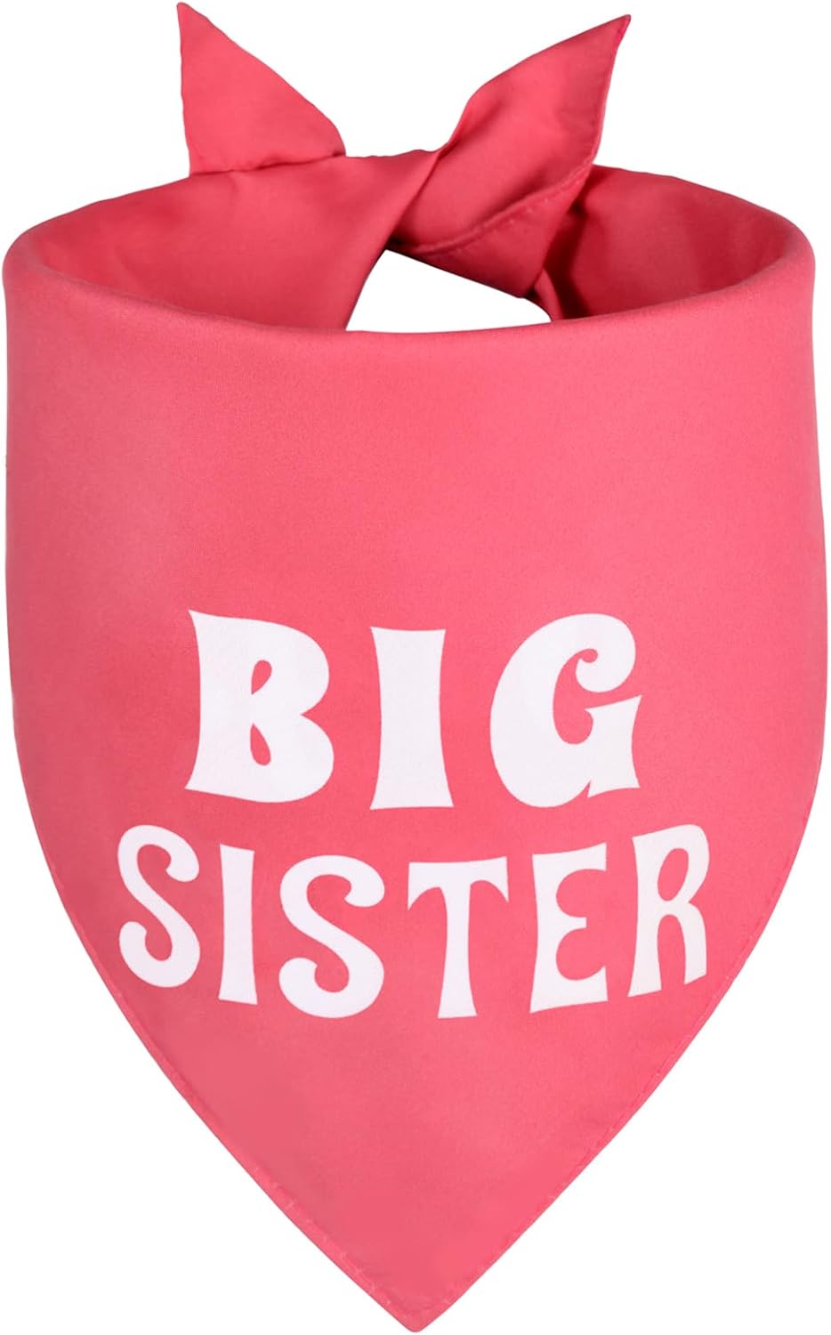 Beige neutral color scheme pet pregnancy announcement prop text details