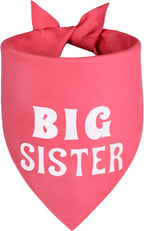 Beige neutral color scheme pet pregnancy announcement prop text details