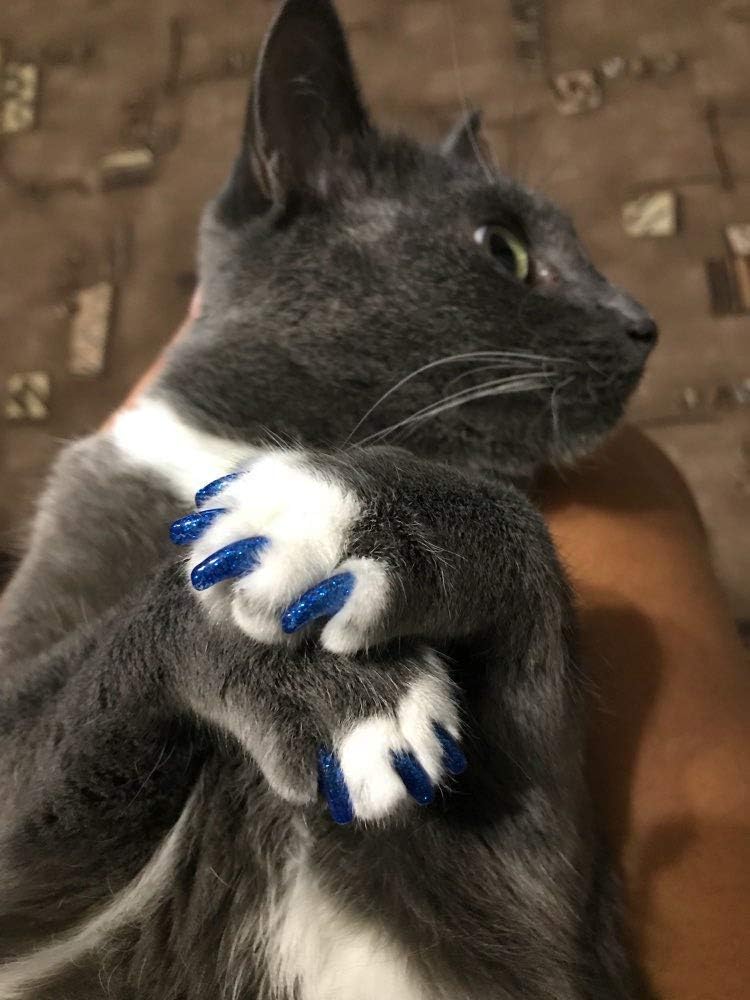 Authentic USA sourced cat wellness supply item