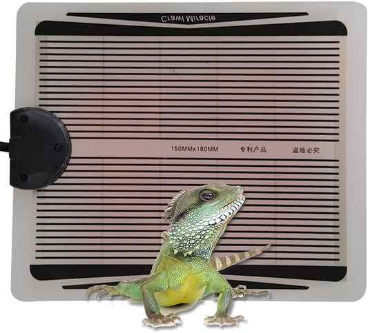 Close up of APlayfulBee temperature control dial for lizard mat