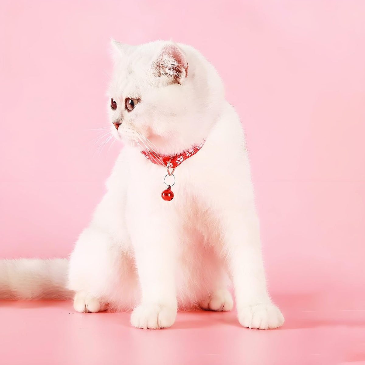 Demonstration of the adjustable sizing mechanism on the nylon kitten collar.