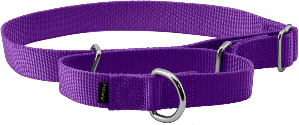 PetSafe Martingale Dog Collar Small, 3/4 Inch, Royal Blue - Image 11