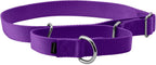 PetSafe Martingale Dog Collar Small, 3/4 Inch, Royal Blue - Image 11