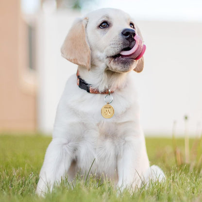 Customizable double sided pet collar charm showing round frosting process finish.