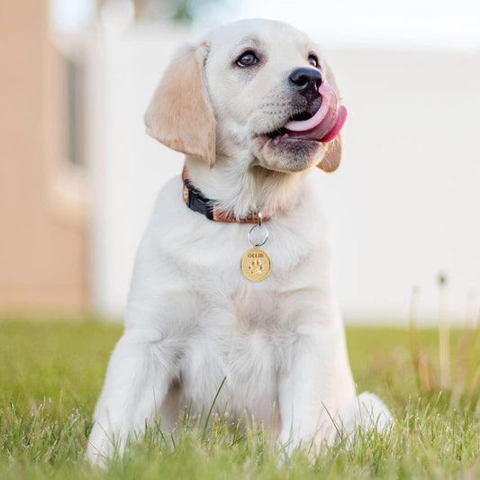 Customizable double sided pet collar charm showing round frosting process finish.