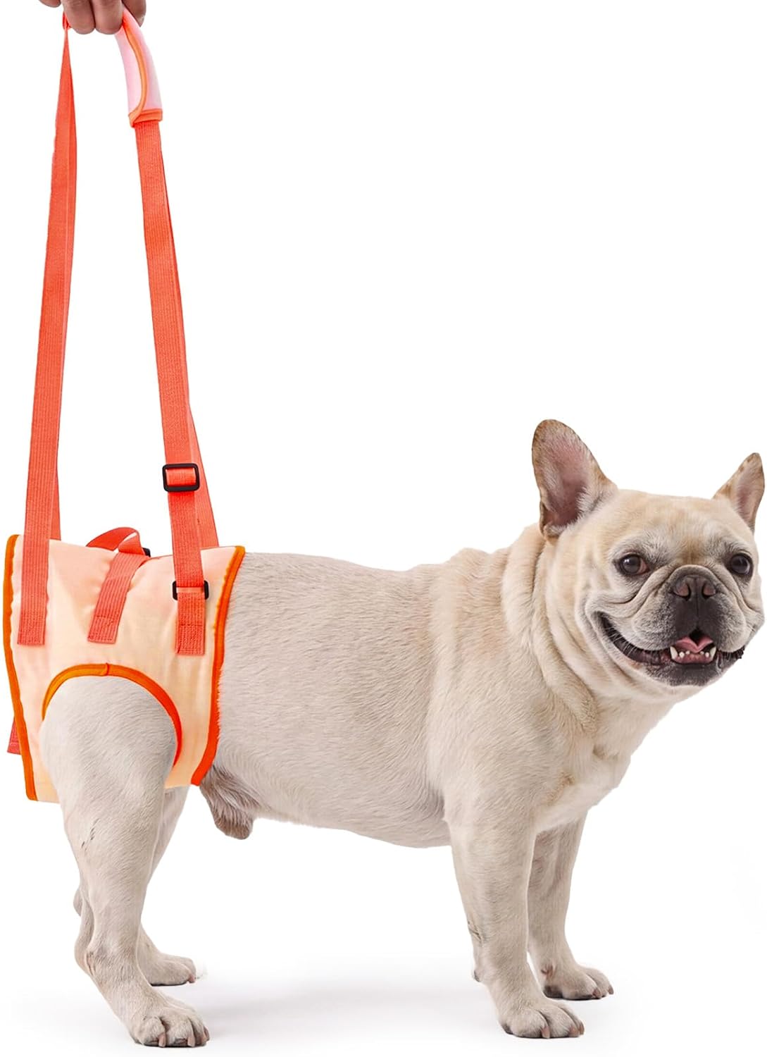 Allroaring Dog Lift Harness for Small Medium Dogs, Adjustable Doggy Back Leg Sling to Help Walk and Rehabilitate,Soft Padded Pet Support Harness for Arthritic,Disabled,Senior,Injured,Orange,M - Image 10