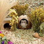 Andwe coconut bed for gerbils and mice viewed from angle