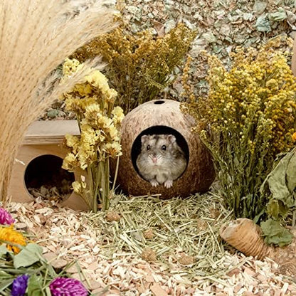 andwe Coconut Hut Hamster House Bed for Gerbils Mice Small Animal Cage Habitat Decor - Image 5