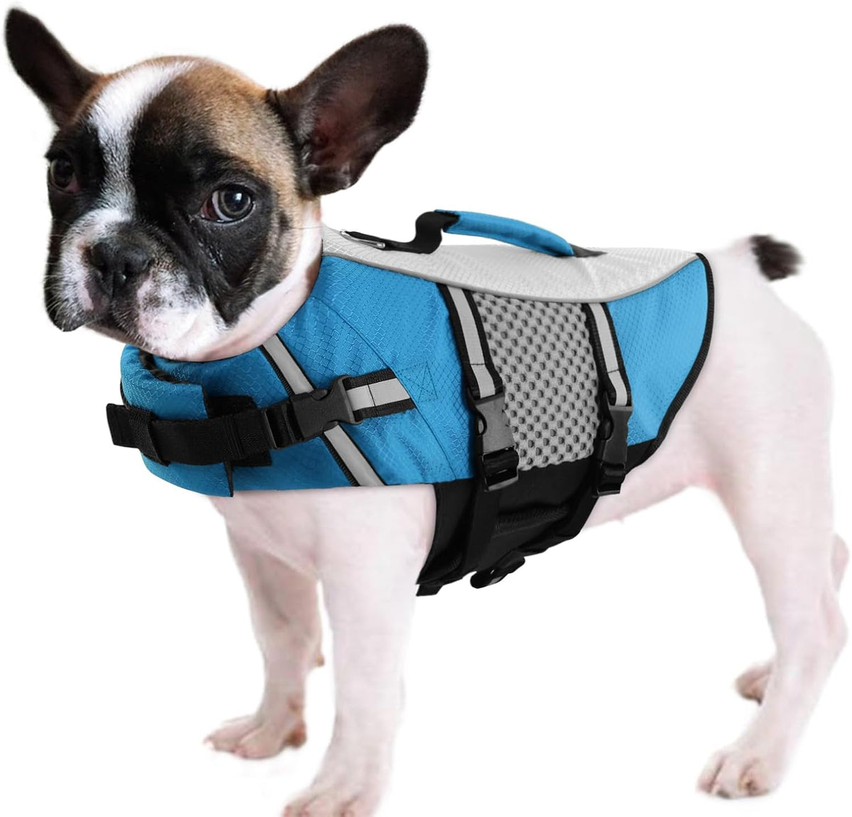 Lightweight neoprene dog water vest for French Bulldogs and Yorkies